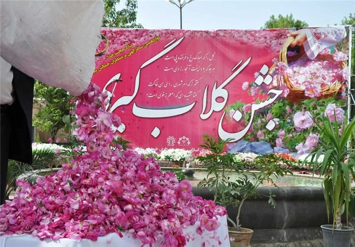 کشت گل محمدی در ۱۵۰ هکتار از زمین‌های کشاورزی و باغی خوی/سالانه یک میلیون تن گلاب تولید می شود