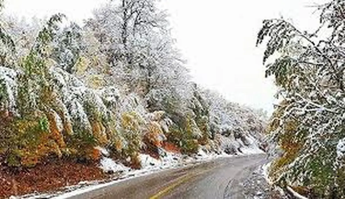 ادامه بارش باران در جلگه و برف در کوهستان‌های گیلان 