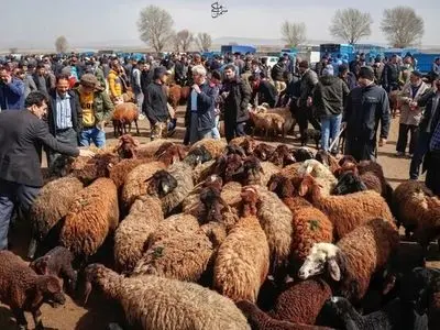 قیمت انواع گوشت قرمز امروز ۲۷ آذر ۱۴۰۳ + جدول