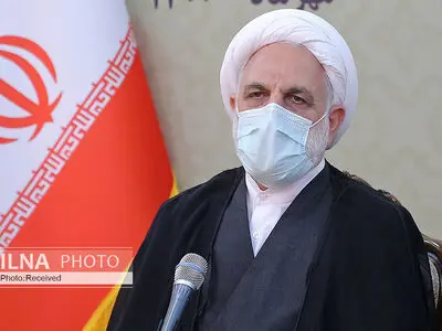 قاضی و وکیل باید فهم و درک سیاسی داشته باشند، اما سیاسی کاری نکنند