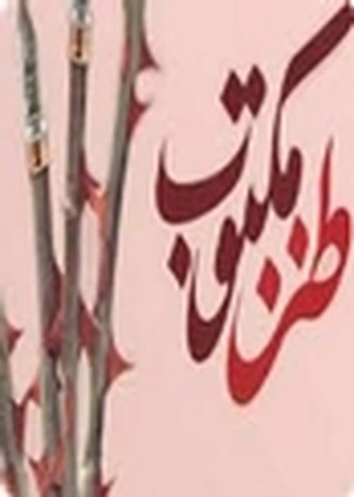 برگزاری جشنواره فرهنگی تفریحی «طنزستان» در شهر بهارستان