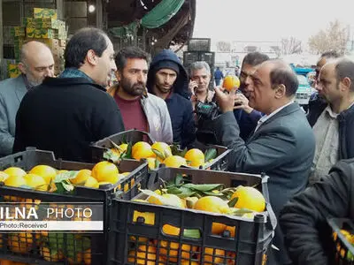  توزیع یک هزار و ۷۰۰ تن میوه تنظیم بازاری در استان اصفهان