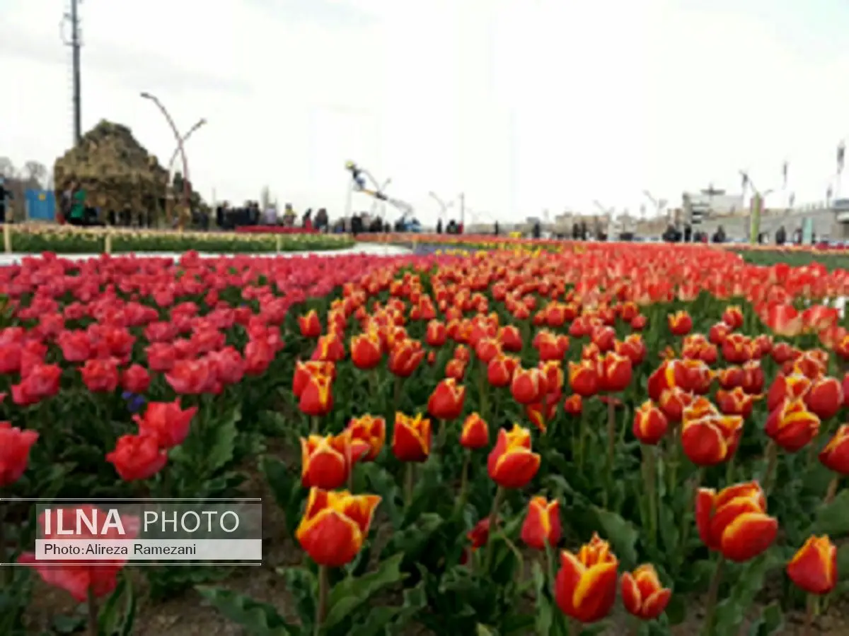 ششمین جشنواره گل‌ها در ارومیه برگزار می‌شود