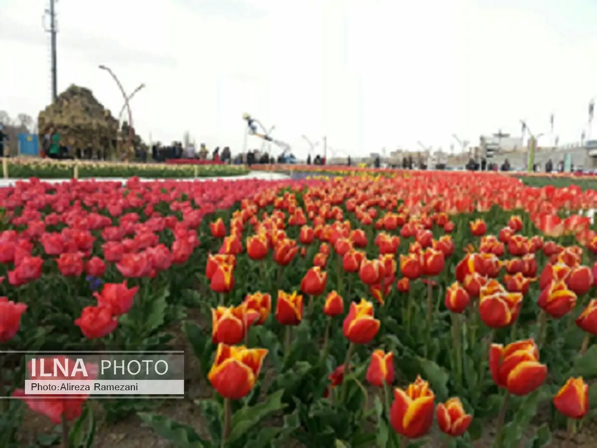 ششمین جشنواره گل‌ها در ارومیه برگزار می‌شود