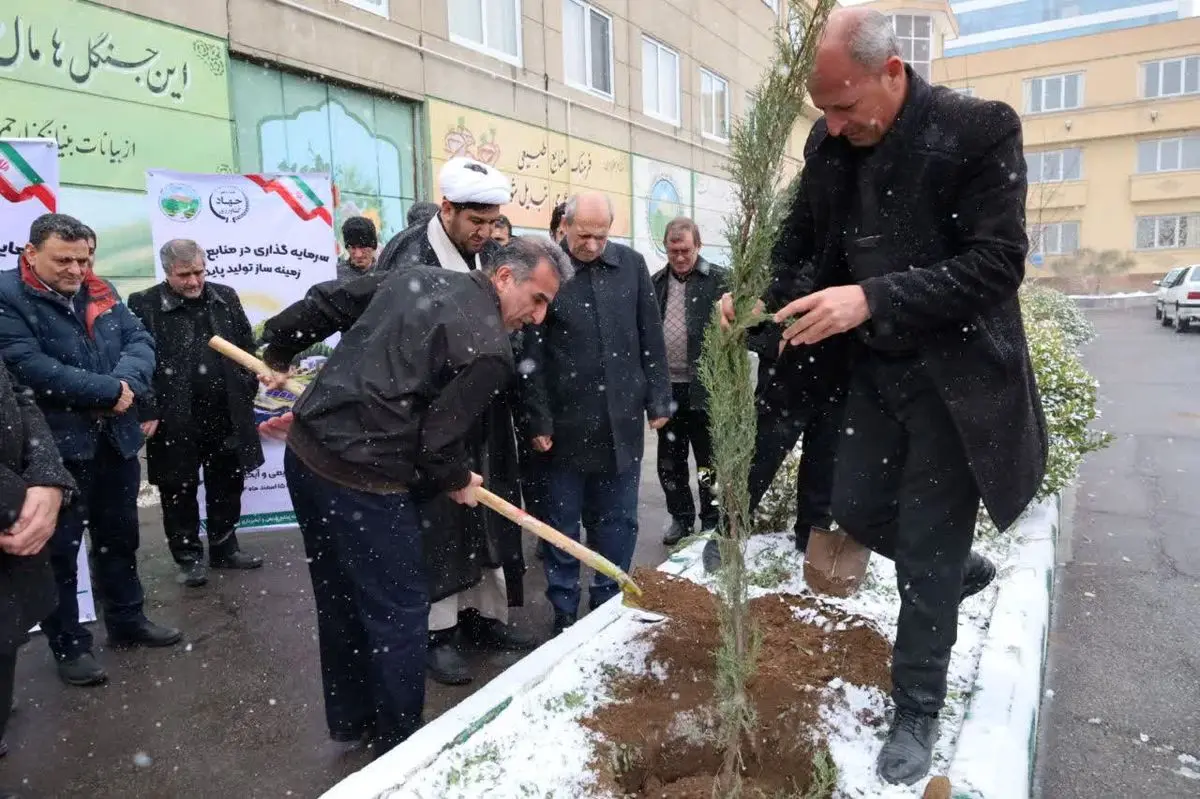 توزیع یک میلیون و ۸۰۰ هزار اصله نهال در آذربایجان شرقی