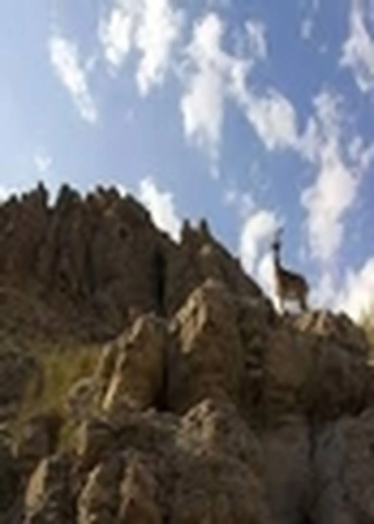 طرح جامع گردشگری البرز بررسی شد