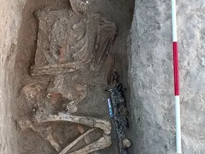 آشکار شدن قبور باستانی دشت مغان در عملیات راهسازی