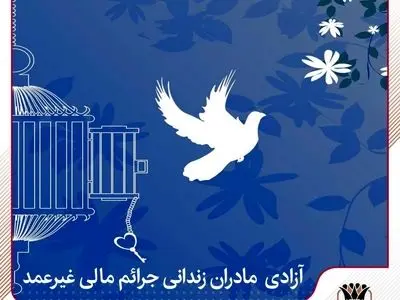اقدام بانک پارسیان در آزادی مادران زندانی جرائم مالی غیرعمد، الگویی ملی