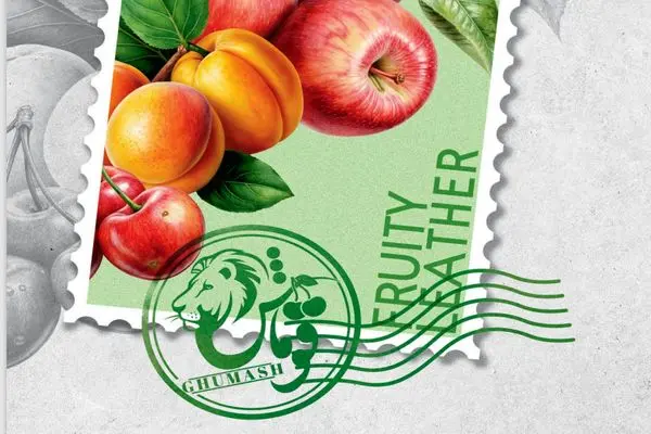«قوماش» انتخاب اول شما برای لواشک و ترشک با کیفیت