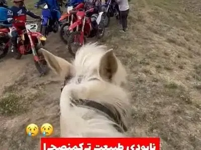 ورود موتورسواران به مراتع خالدنبی ممنوع شد + فیلم