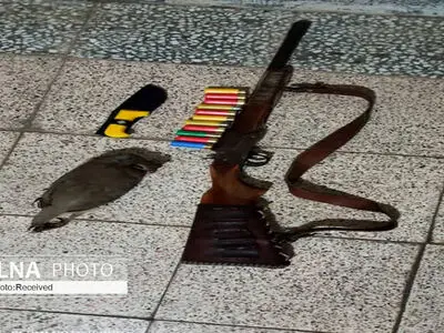 ۶ قبضه اسلحه شکاری توسط محیط‌بانان لرستان کشف شد