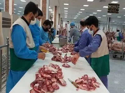 نظارت شرعی و بهداشتی بر ۲ هزار راس دام زنده و لاشه دام در آذربایجان‌شرقی