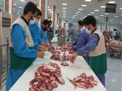 نظارت شرعی و بهداشتی بر ۲ هزار راس دام زنده و لاشه دام در آذربایجان‌شرقی