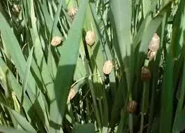 asdasd