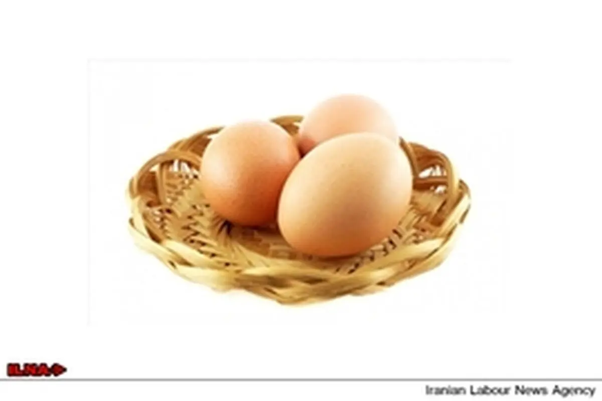 پیش‌بینی صادرات ۵۰ هزار تن مرغ و تخم مرغ در سالجاری