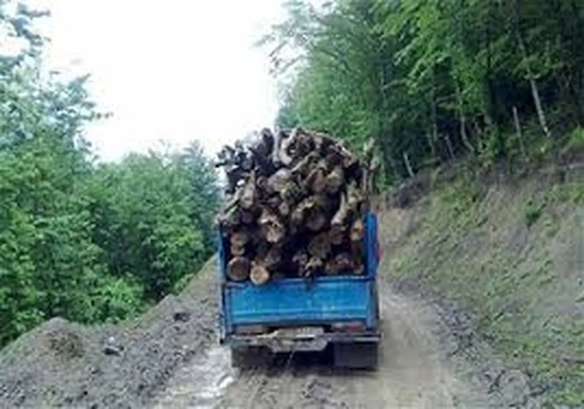 دستگیری قاچاقچی چوب جنگلی در آمل 