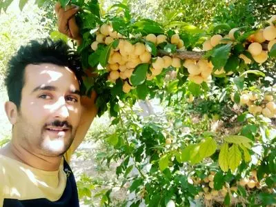 انواع ارقام نهال را با قیمت مناسب مستقیم از نهالستان بخرید.