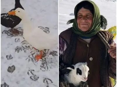 شش عنوان برگزیده و تقدیری مهرواره فصلی عکس کانون به آذربایجان غربی رسید