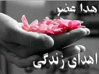 جوانی که با مرگش به دیگران زندگی بخشید