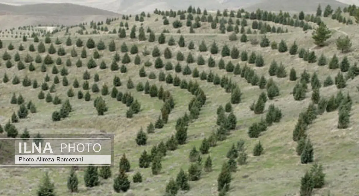 اجرای کمربند حفاظتی در مناطق بحرانی و جنگلی
