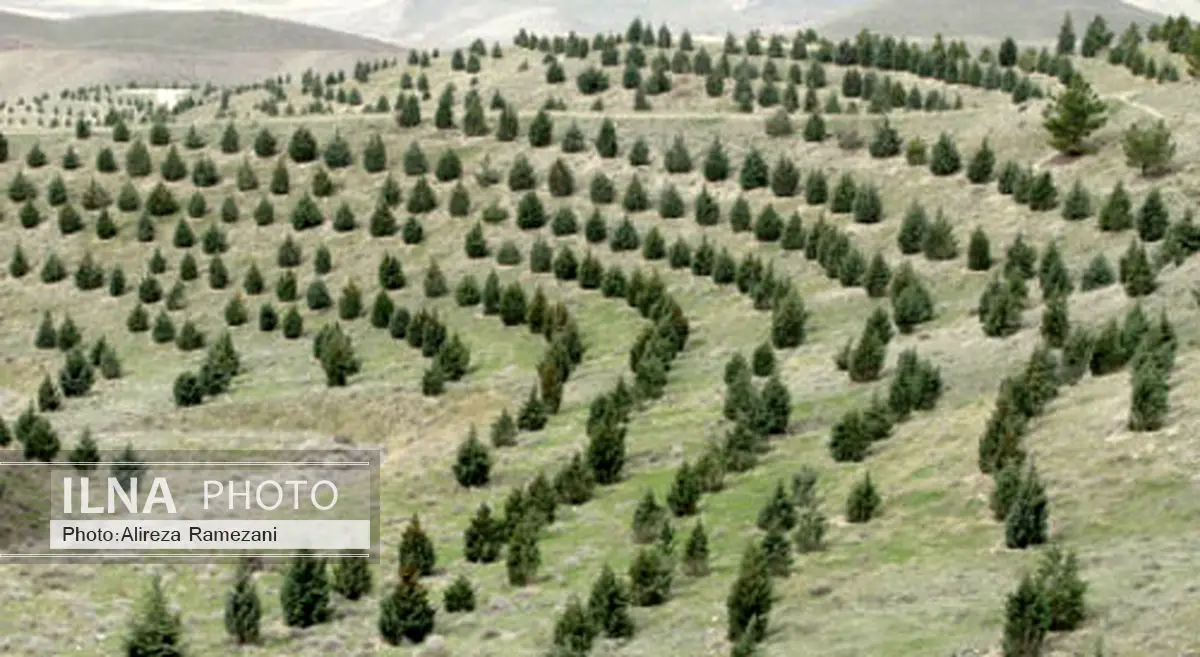 اجرای کمربند حفاظتی در مناطق بحرانی و جنگلی