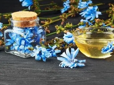 طرز تهیه شربت عرق کاسنی