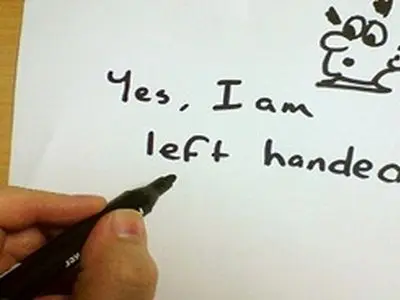 asdasd