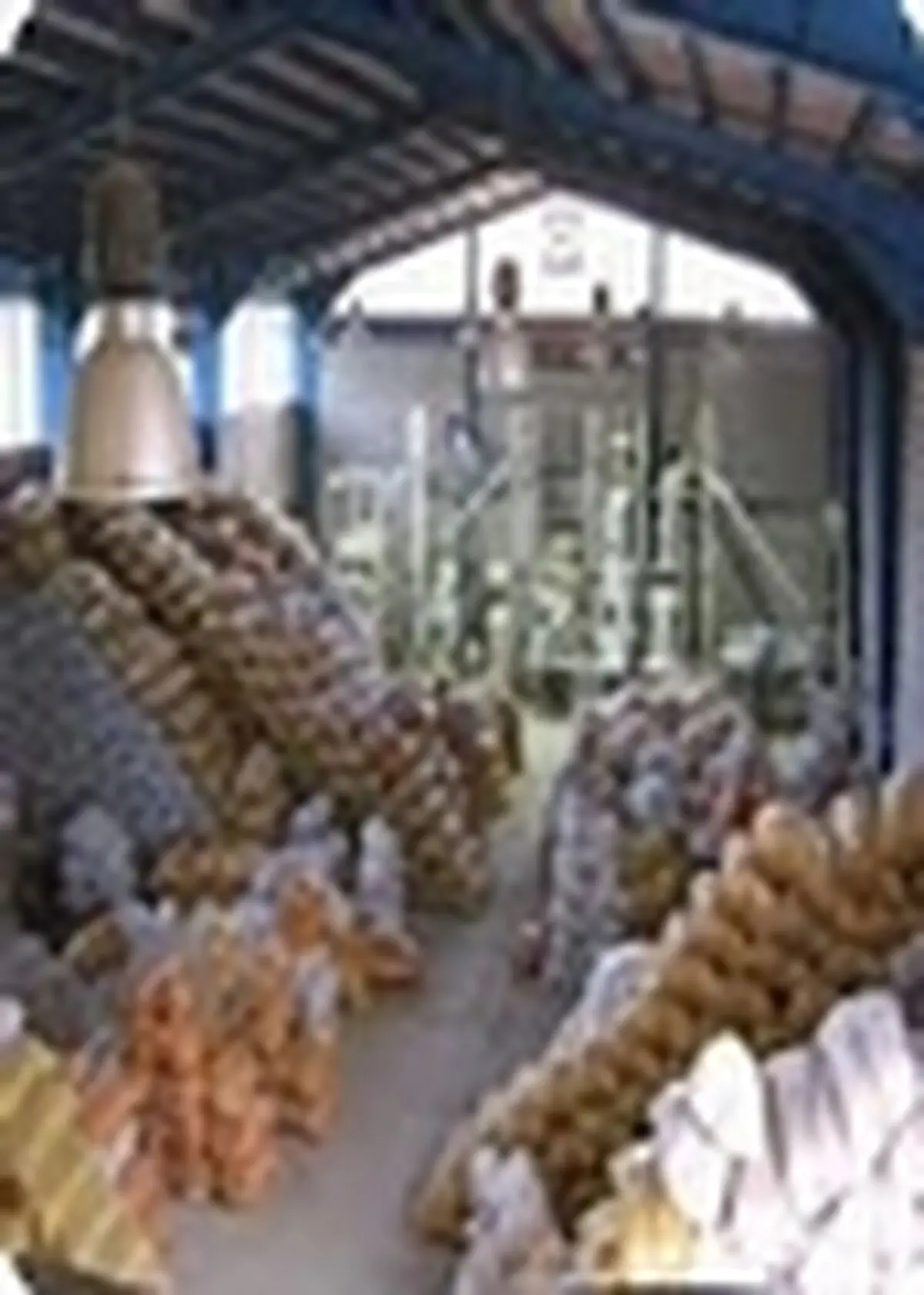شناسایی ۱۸۳ مورد تخلف کارخانه‌های شالیکوبی در گیلان