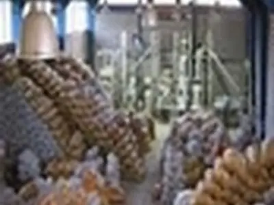 شناسایی ۱۸۳ مورد تخلف کارخانه‌های شالیکوبی در گیلان