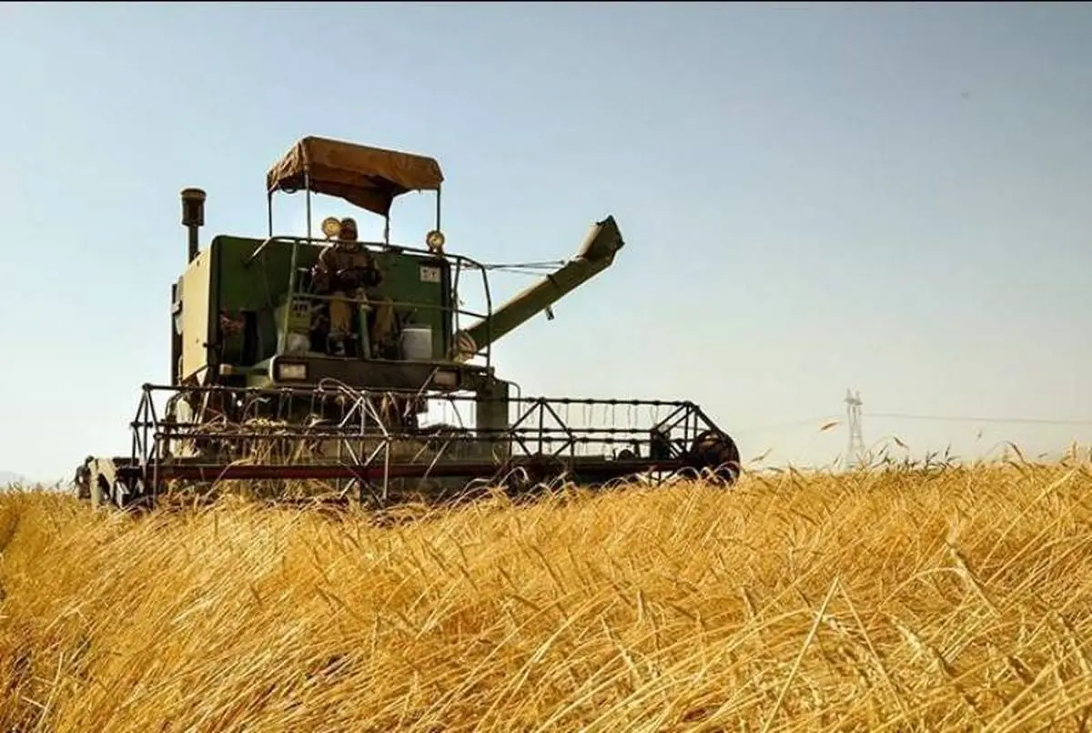 آغاز برداشت غلات از مزارع بجستان خراسان‌‌رضوی 