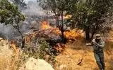 حریق در ارتفاعات بمو/ ۲۵ آتش‌نشان برای مهار آتش اعزام شدند