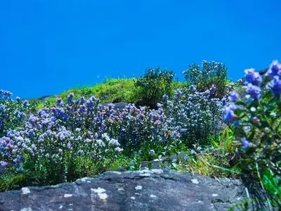 اجرای طرح آماده باش نوروزی مراکز درمانی بستری تامین اجتماعی در زنجان