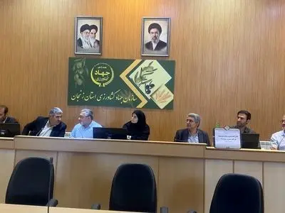 معاون استاندار زنجان: نظارت بر زنجیره آرد و نان در استان تشدید شود