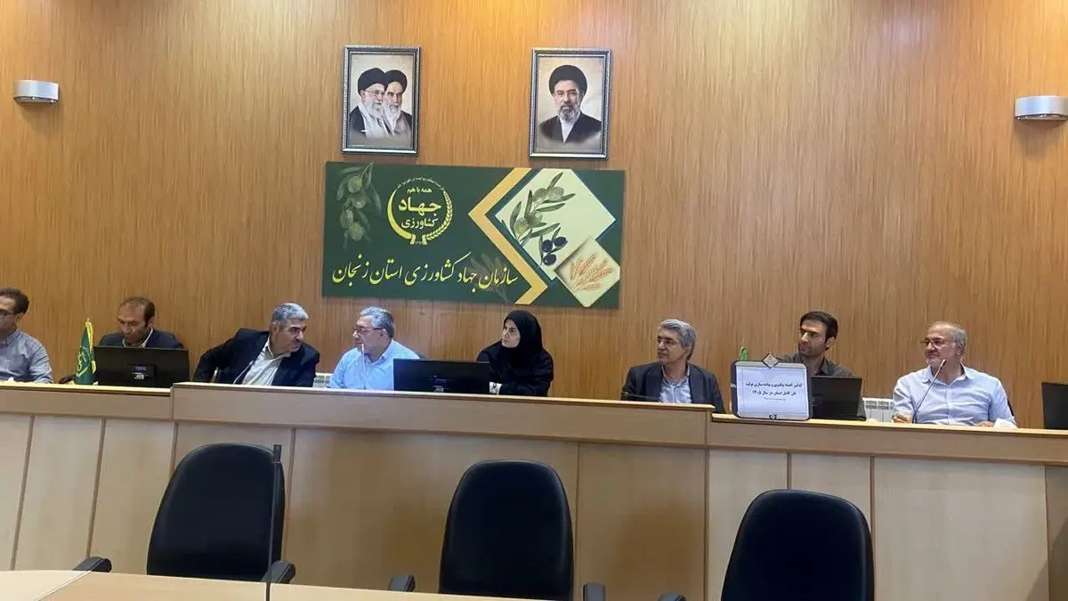 معاون استاندار زنجان: نظارت بر زنجیره آرد و نان در استان تشدید شود