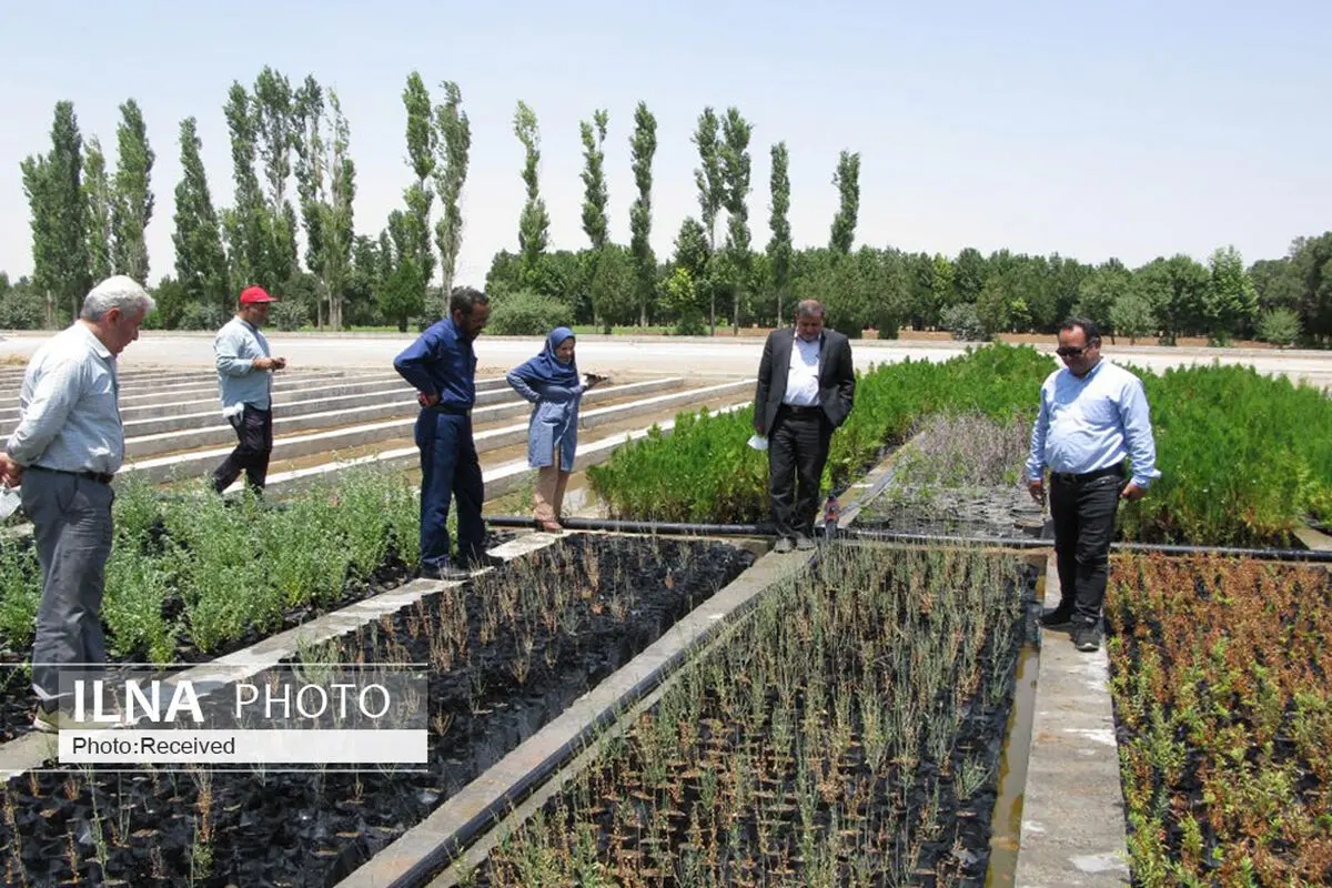  ۴۰ کشاورز قزوینی در حال آموزش طرح سازمان جهانی فائو