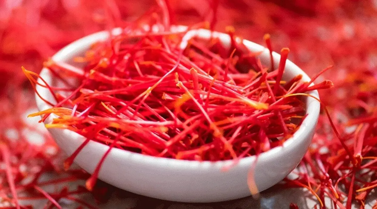 بیش از 5 تن زعفران خشک در تایباد خریداری شد