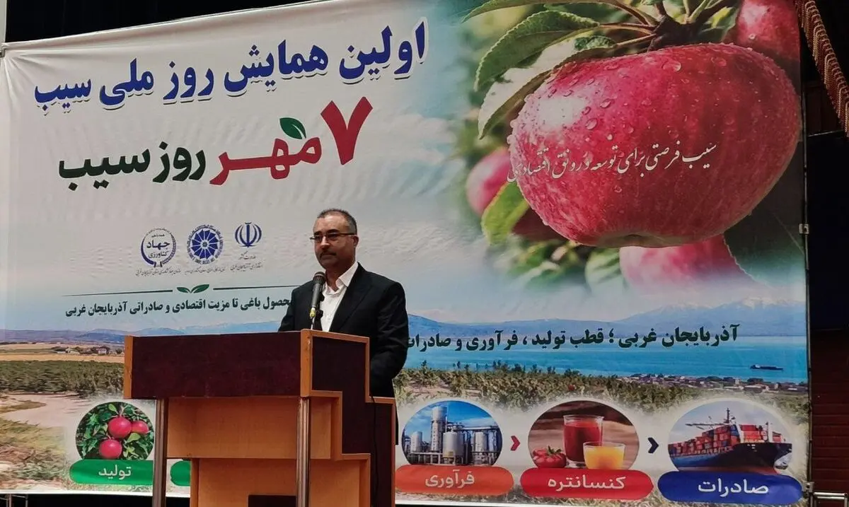 آذربایجان‌غربی قطب تولید سیب کشور/سالانه ۱میلیون و ۴۰۰هزار تن سیب در استان تولید می شود