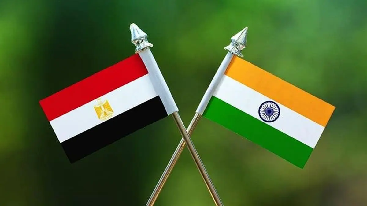 گفتگوی وزرای خارجه مصر و هند