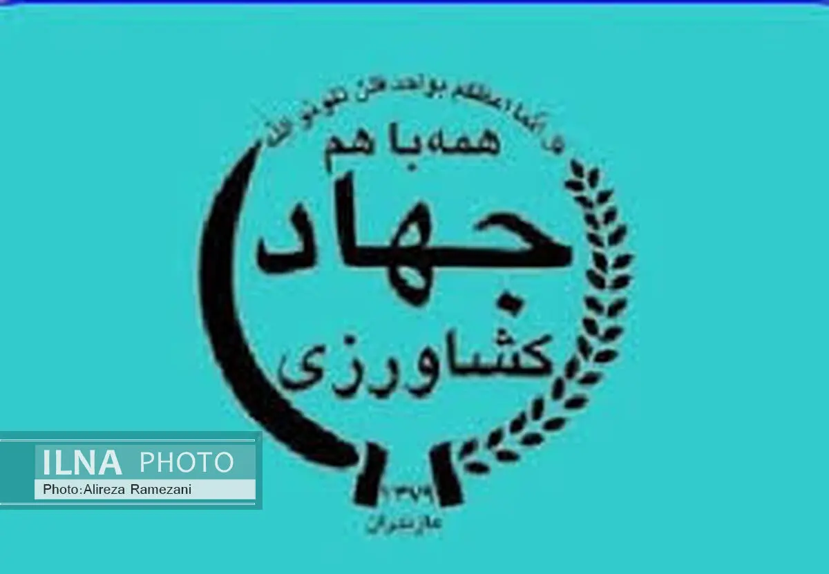جلوگیری از خروج میوه‌های رنگ‌آوری شده از مازندران