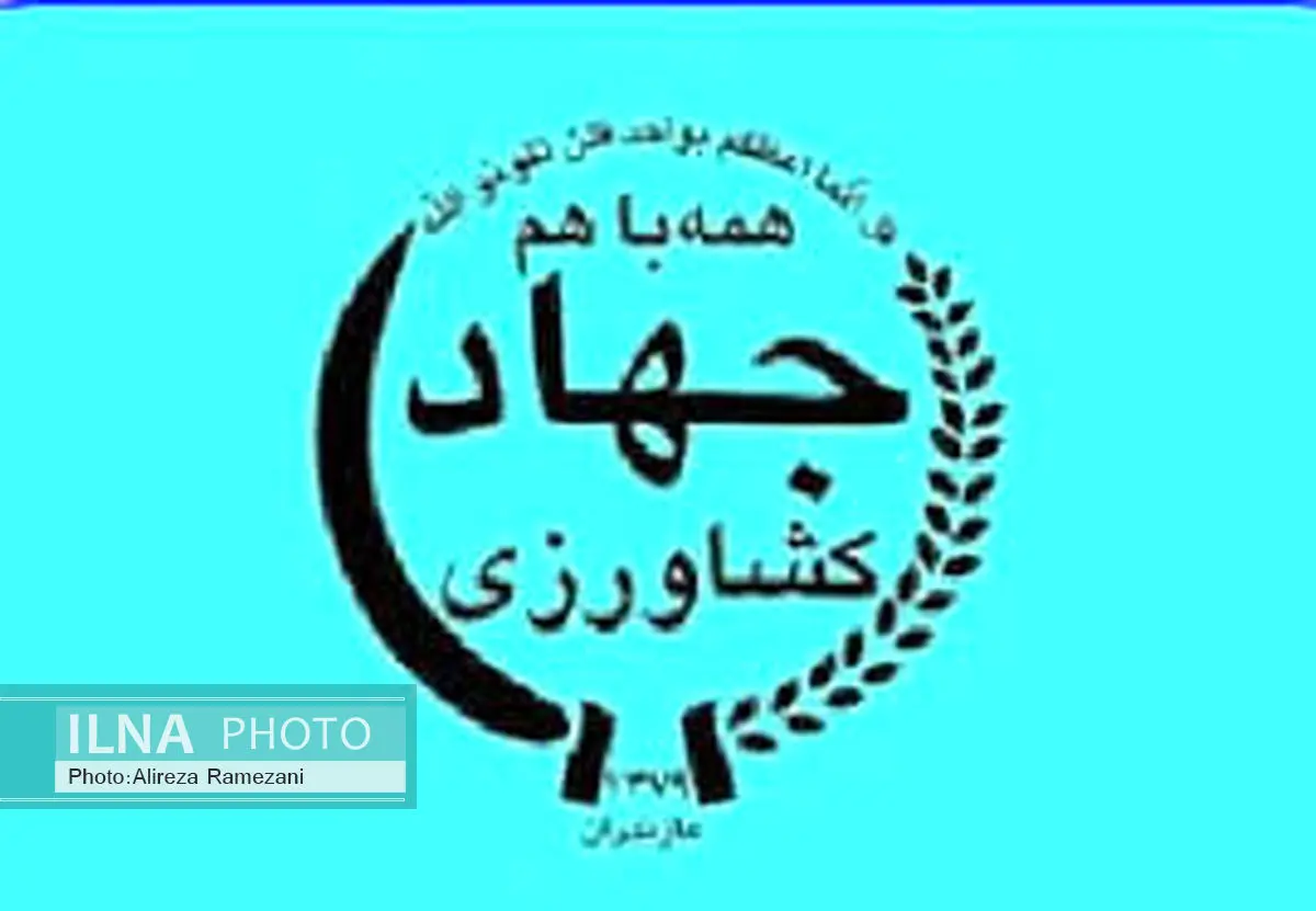 جلوگیری از خروج میوههای رنگآوری شده از مازندران