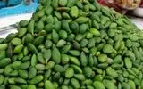 چغاله بادام فارس، از نوبرانه بهاری تا صادرات به کردستان عراق
