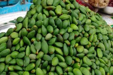 چغاله بادام فارس، از نوبرانه بهاری تا صادرات به کردستان عراق