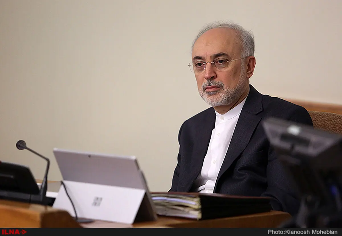 صالحی درگذشت سید رضا نیری را تسلیت گفت