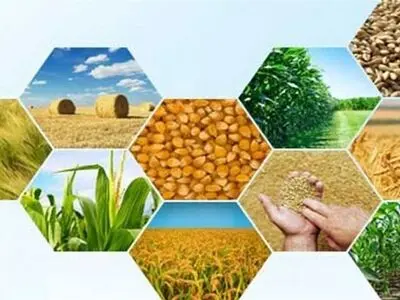 ضرورت ایجاد پایانه‌های تخصصی صادراتی در استان مرکزی برای محصولات شاخص کشاورزی
