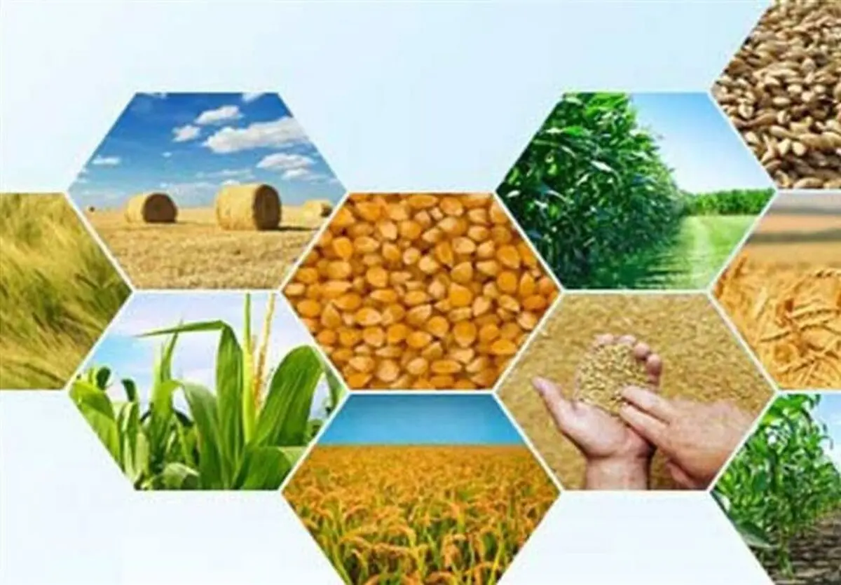 ضرورت ایجاد پایانه‌های تخصصی صادراتی در استان مرکزی برای محصولات شاخص کشاورزی