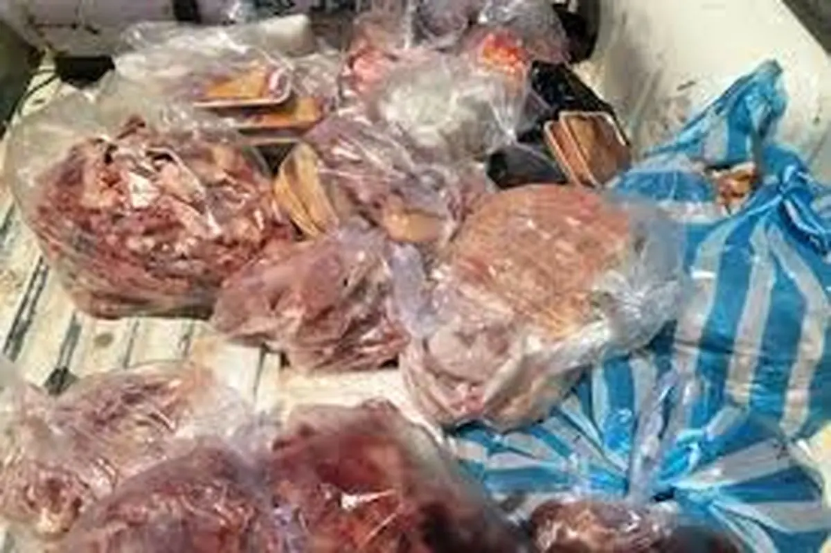 کشف ۲۰۰ کیلوگرم گوشت گراز در رشت