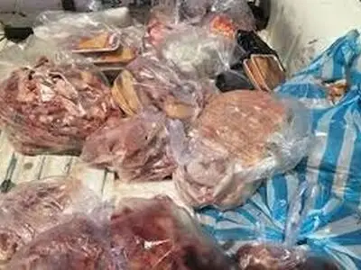 کشف ۲۰۰ کیلوگرم گوشت گراز در رشت