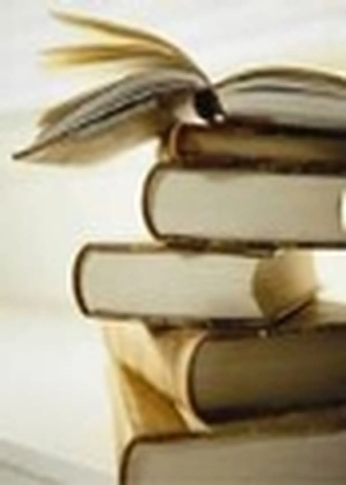 کتابخانه تخصصی " هنر " در فرهنگسرای اشراق خدابنده راه اندازی می شود