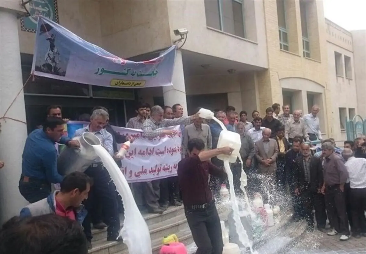 ادامه روند کاهشی قیمت خرید شیر از دامداران/ احتمال تکرار تجربه دور ریختن شیر/ قیمت خرید گوشت از دامداران به زیان رسید