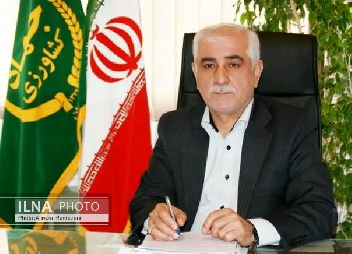 قیمت خرید تضمینی کلزا 2 هزار و 200 تومان است